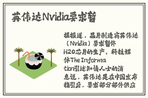 抓住王昭君的大白兔